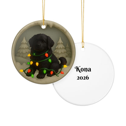 Personalized Black Newfoundland Christmas Ornament, 3D Clay-Style Dog Keepsake with Lights