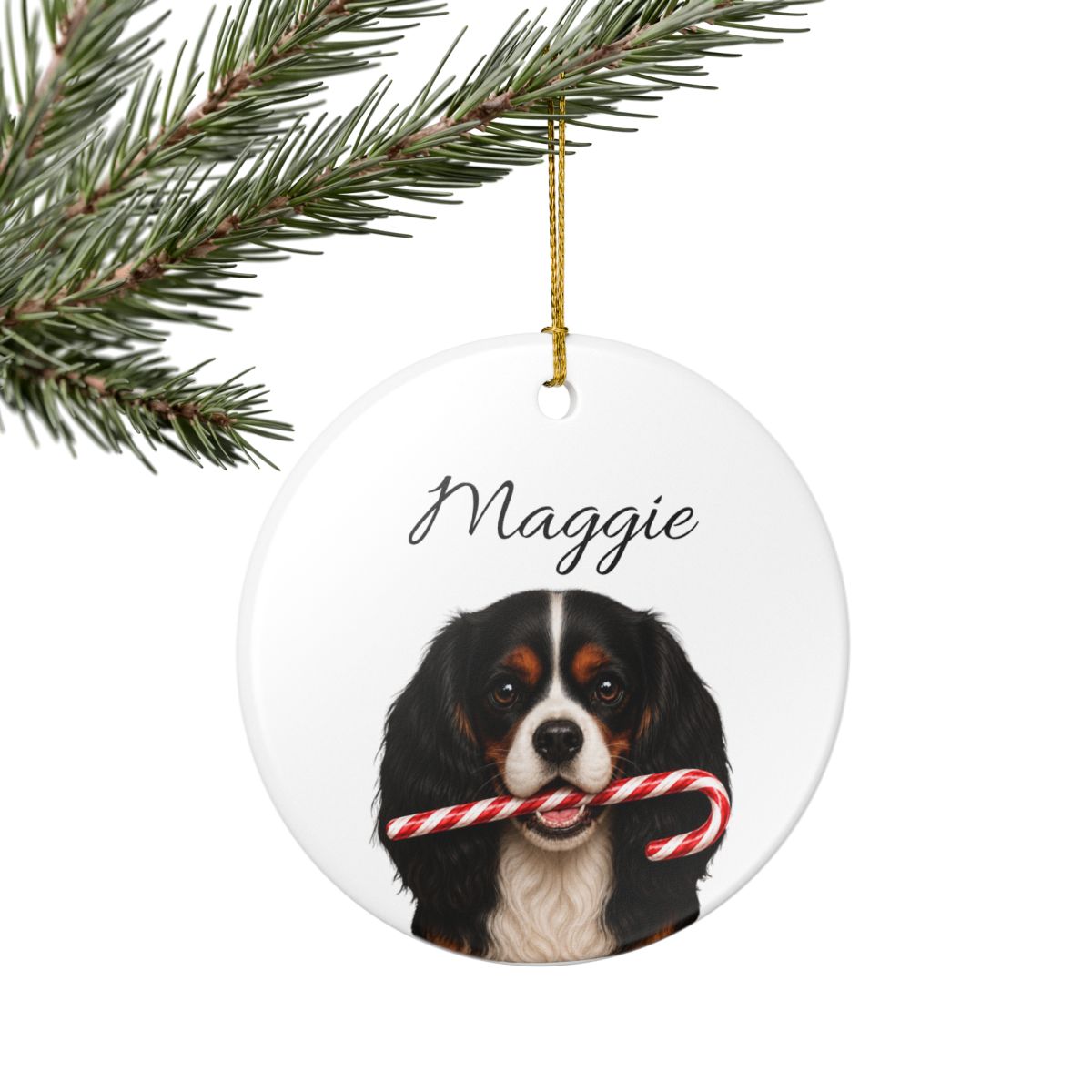 Personalized Tricolor Cavalier Candy Cane Ornament