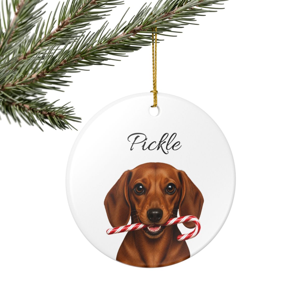 Personalized Red Dachshund Candy Cane Ornament