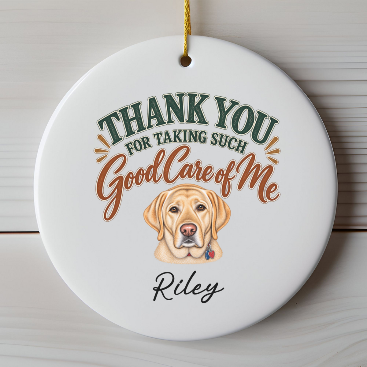 Personalized Veterinarian Ornament, Thank You Vet Gift From Dog, Custom Pet Name Keepsake