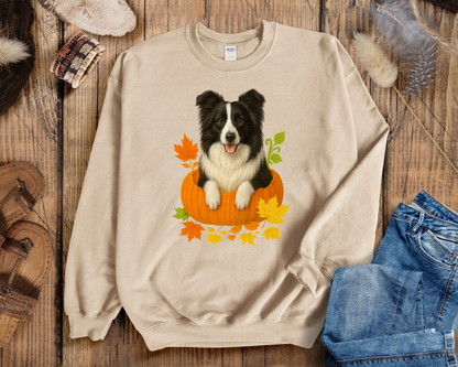 Border Collie in Pumpkin Fall Shirt