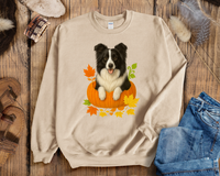 Load image into Gallery viewer, Border Collie in Pumpkin Fall Shirt
