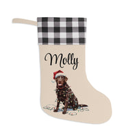 Load image into Gallery viewer, Personalized Chocolate Labrador Christmas Stocking,  Holiday Decor Gift for Pet Lovers
