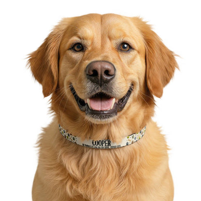 Clip-on Pet Collar