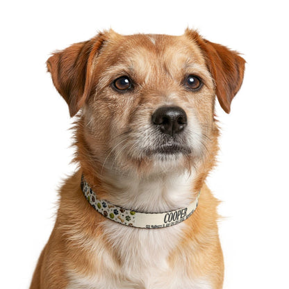 Clip-on Pet Collar