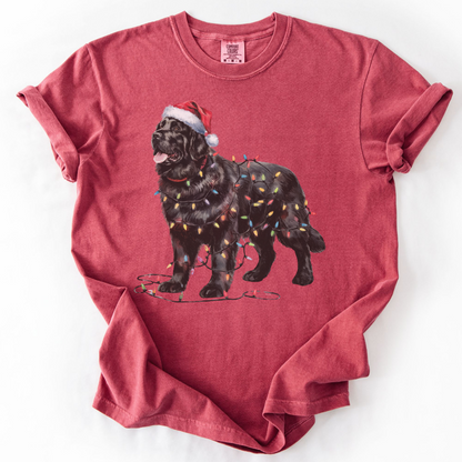 Black Newfoundland Christmas Lights Shirt, Cozy Holiday Tee for Gentle Giant Lovers