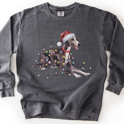Greyhound Christmas Lights Sweatshirt