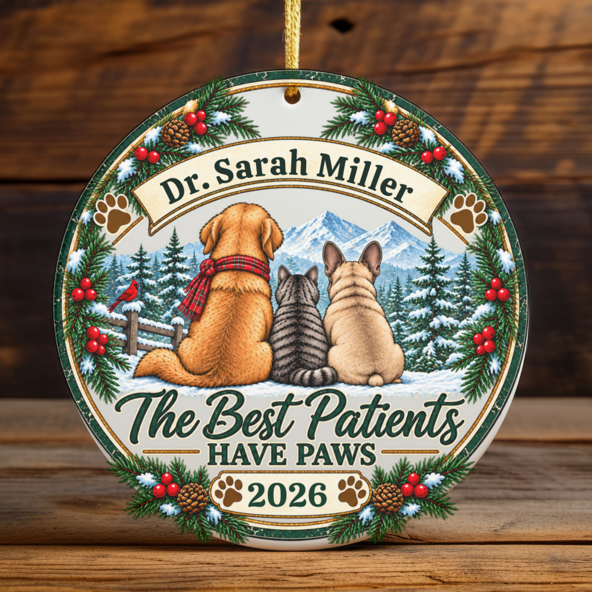Personalized Veterinarian Ornament, Vet Christmas Gift, Best Vet Gift, Custom Pet Doctor Ornament