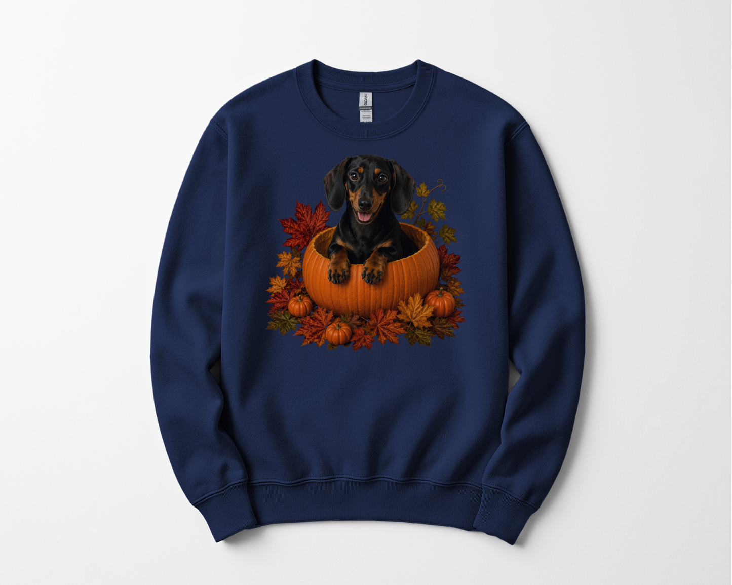 Black and Tan Dachshund Pumpkin Sweatshirt Fall Dog Lover Autumn Puppy Cozy Crewneck Gift Apparel