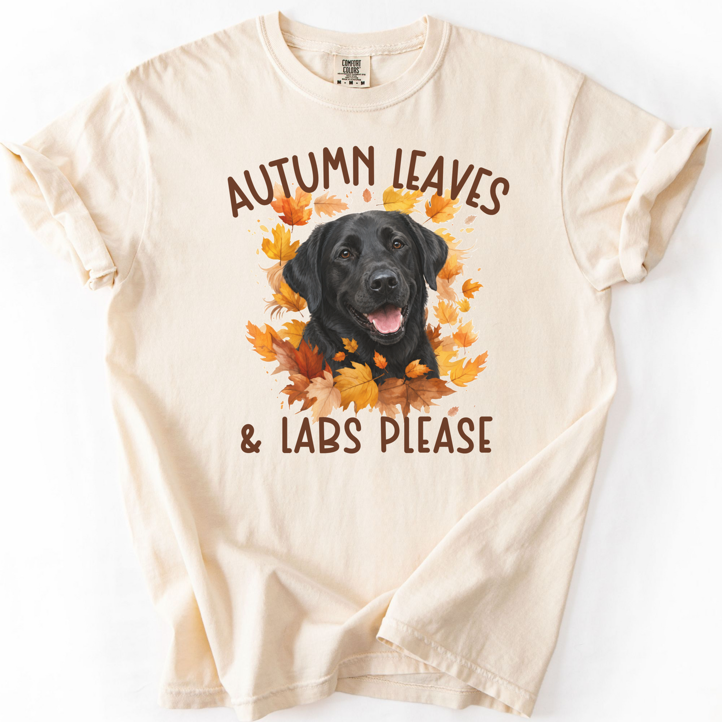 Black Lab Mom Fall Shirt, Autumn Leaves & Labs Please