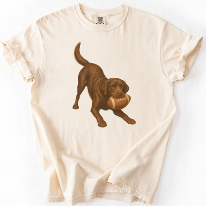 Chocolate Lab Football Shirt