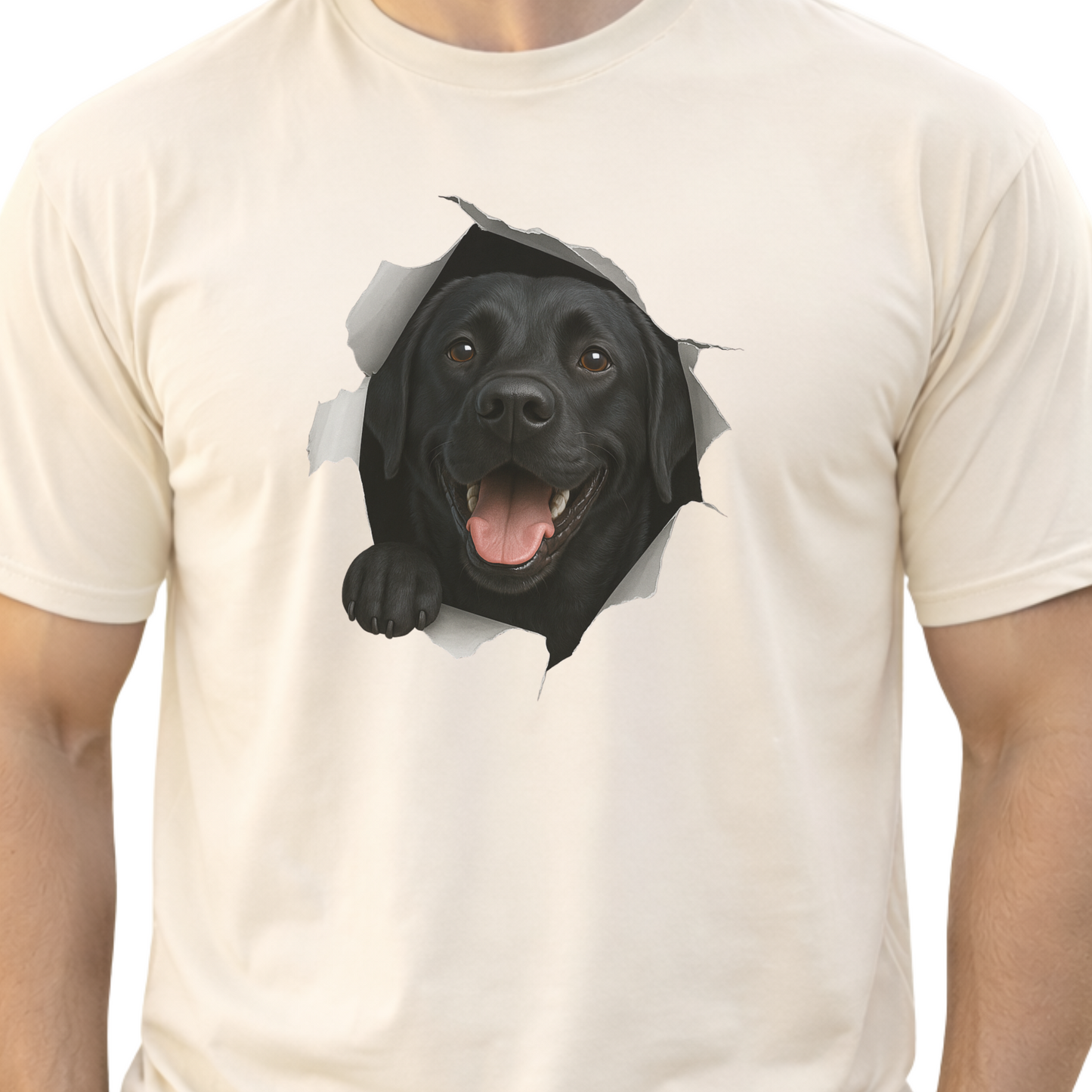 Peeking Labrador T-shirt