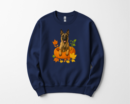 Belgian Malinois in Pumpkin Fall Shirt