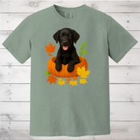 Load image into Gallery viewer, Black Lab in Pumpkin Fall Dog Lover Shirt
