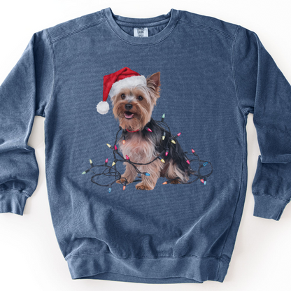 Christmas Yorkshire Terrier Sweatshirt, Festive Dog Lights, Yorkie Mom Holiday Apparel
