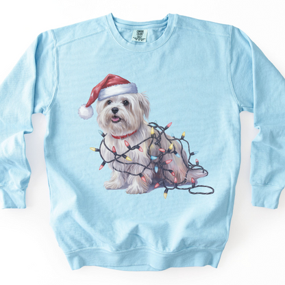 Maltese Christmas Lights Dog Sweatshirt