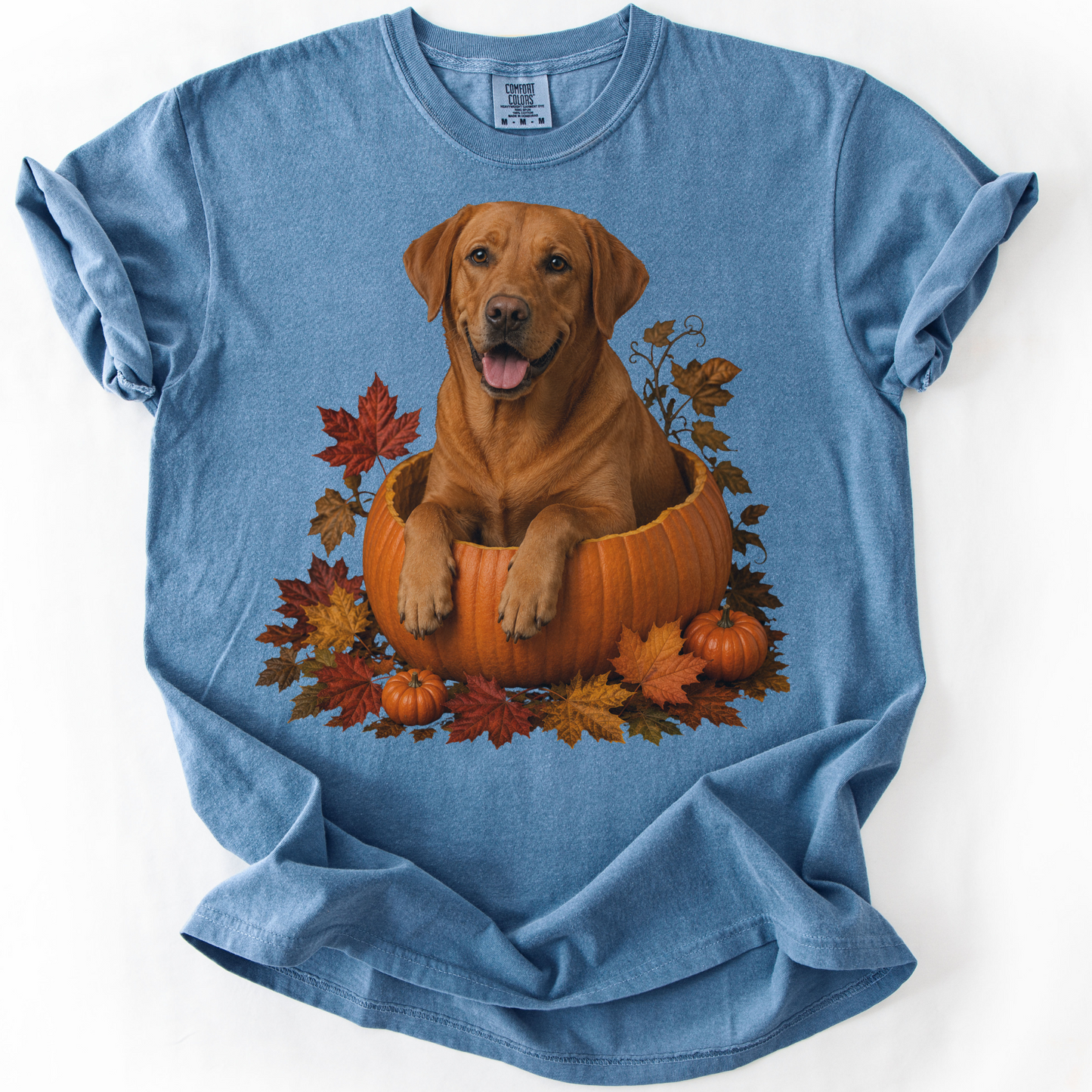 Fox Red Lab Pumpkin Shirt Fall Dog Lover Autumn Labrador Comfort Colors Tee Gift Apparel