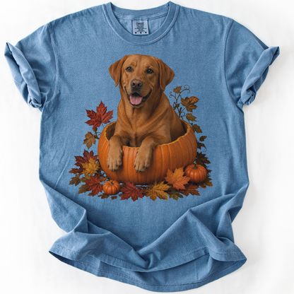 Fox Red Lab Pumpkin Shirt Fall Dog Lover Autumn Labrador Comfort Colors Tee Gift Apparel