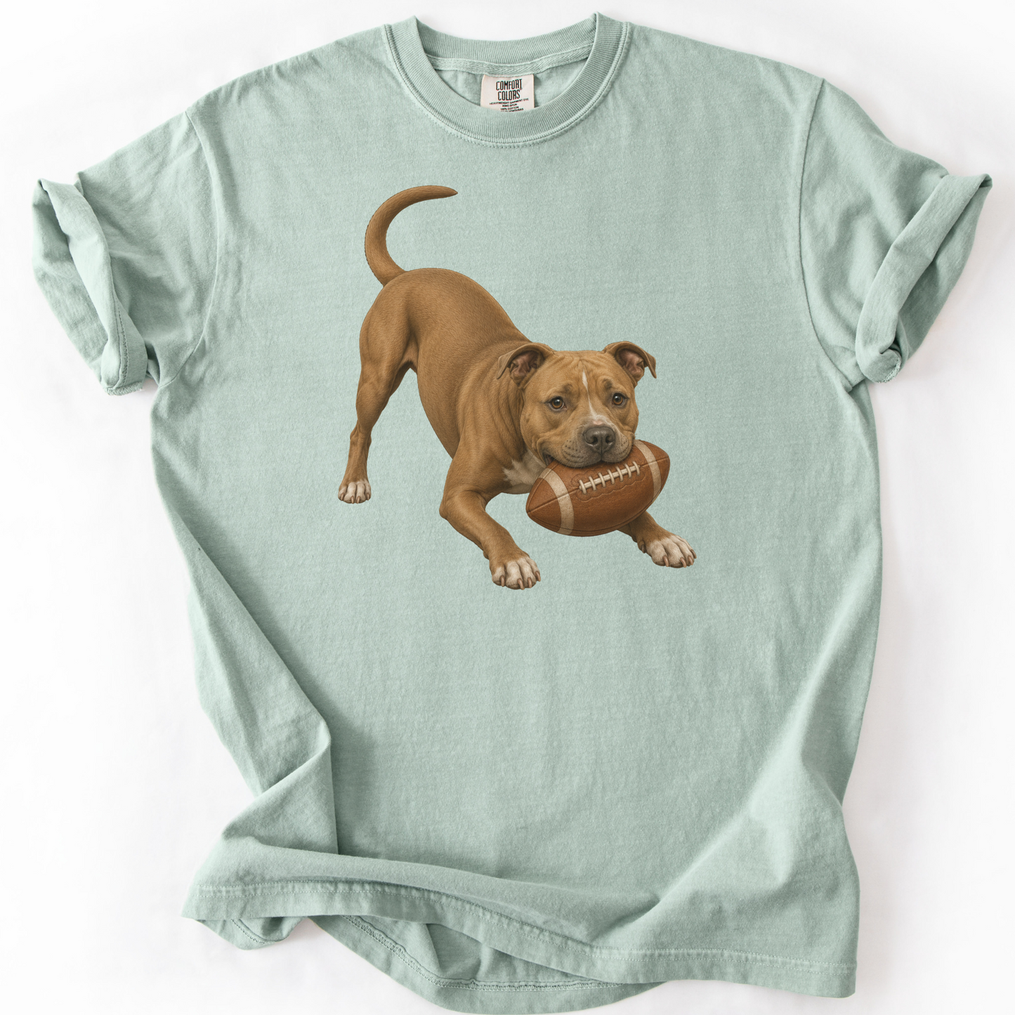 Pitbull Football Shirt