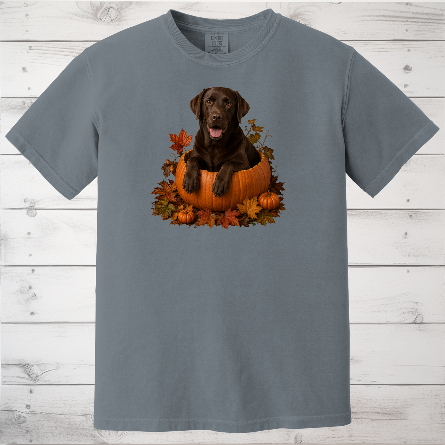 Chocolate Lab Pumpkin Shirt