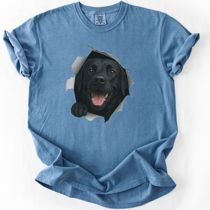 Peeking Labrador T-shirt