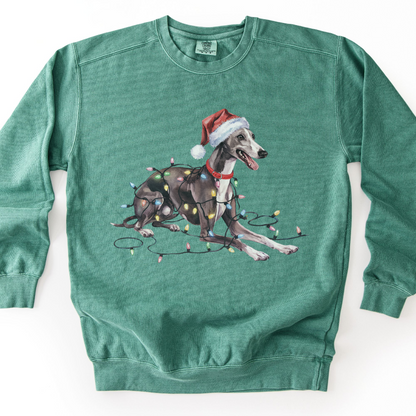 Greyhound Christmas Lights Sweatshirt