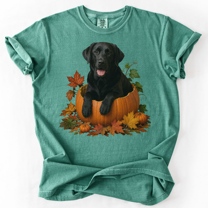 Black Lab Pumpkin Shirt Fall Dog Lover Autumn Labrador Comfort Colors Graphic Tee Gift Apparel