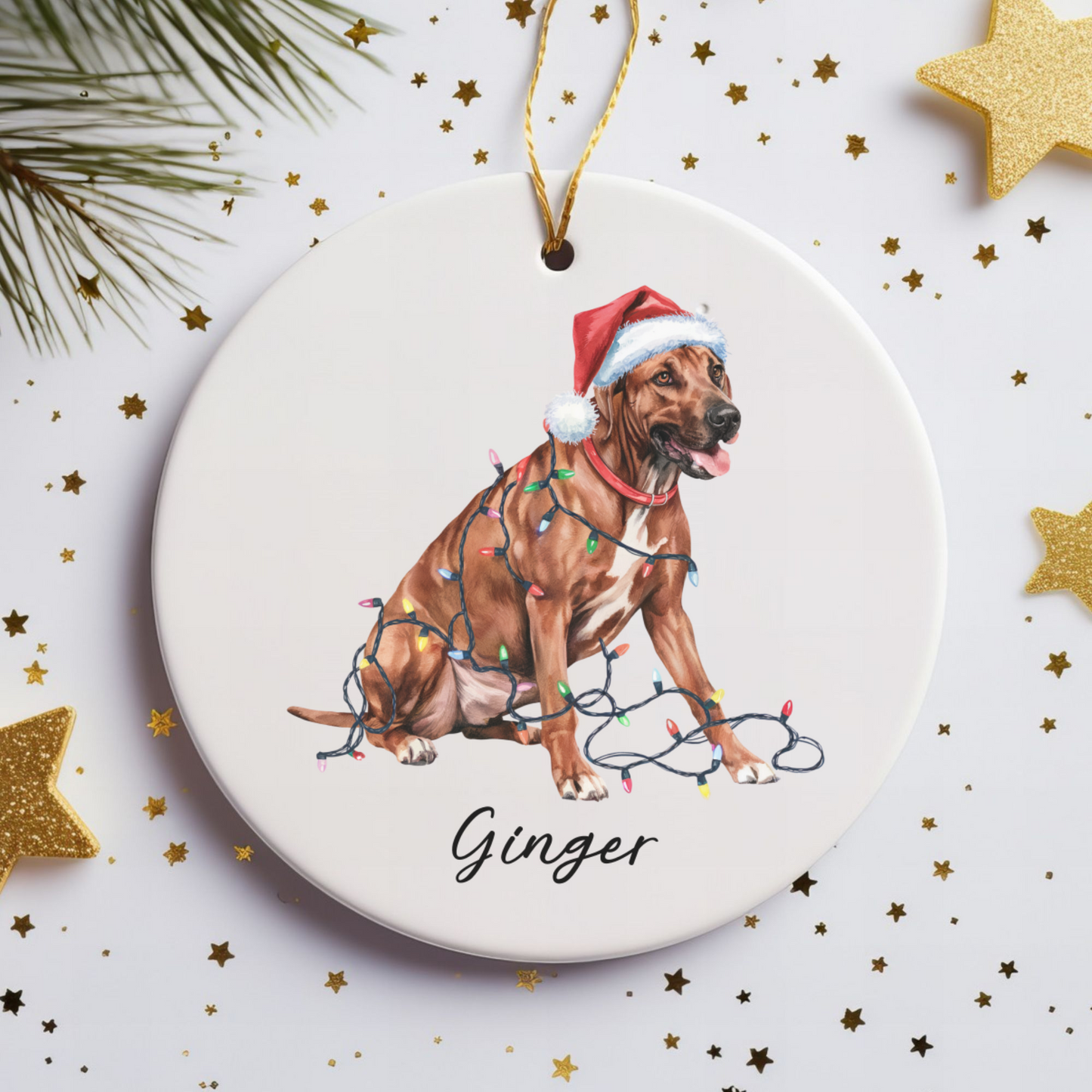 Rhodesian Ridgeback Ornament, Custom Dog Lover Holiday Gift