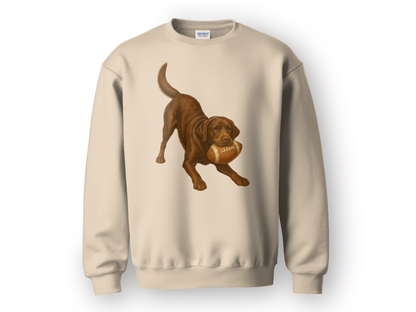 Chocolate Lab Football Sweatshirt