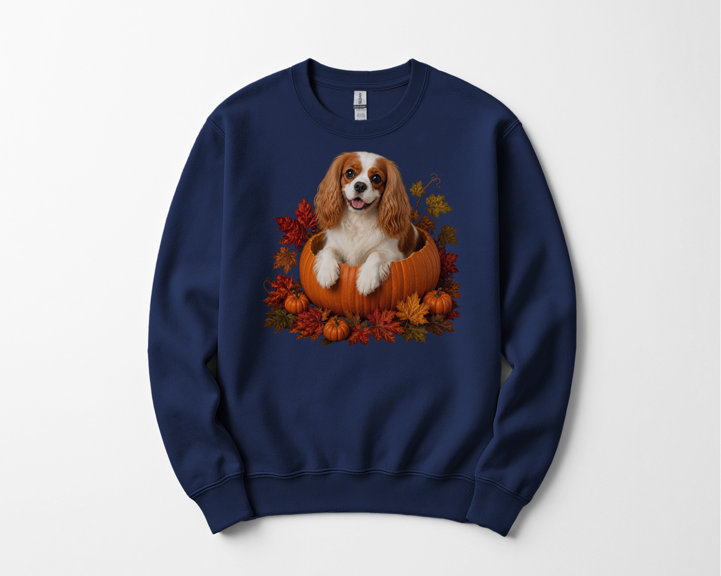Blenheim Cavalier Pumpkin Sweatshirt Fall Dog Lover Autumn Puppy Crewneck Cozy Gift Pullover Apparel