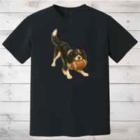 Load image into Gallery viewer, Cavalier King Charles Spaniel Football Sweatshirt – Blenheim, Ruby or Tri-Color Dog Lover Gift
