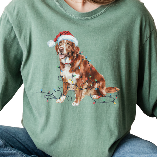 Christmas Nova Scotia Duck Tolling Retriever Long Sleeve Shirt, Festive Dog Lights Tee