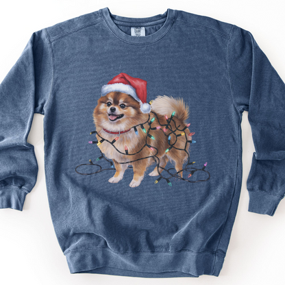 Pomeranian Christmas Lights Sweatshirt, Festive Dog Mom Sweater