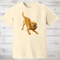 Load image into Gallery viewer, Football Lab Lovers Sweatshirt-Personalize for Lab Choice
