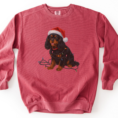 Black and Tan Cavalier King Charles Spaniel Christmas Lights Sweatshirt