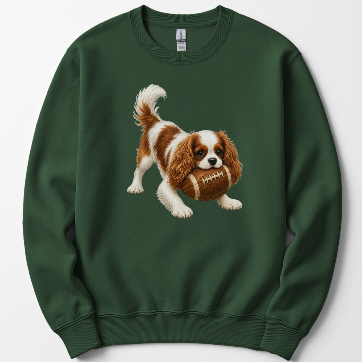 Blenheim Cavalier Football Sweatshirt Cute Dog Lover Game Day Crewneck Cavalier Mom Gift