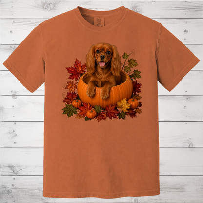 Ruby Cavalier Pumpkin Shirt