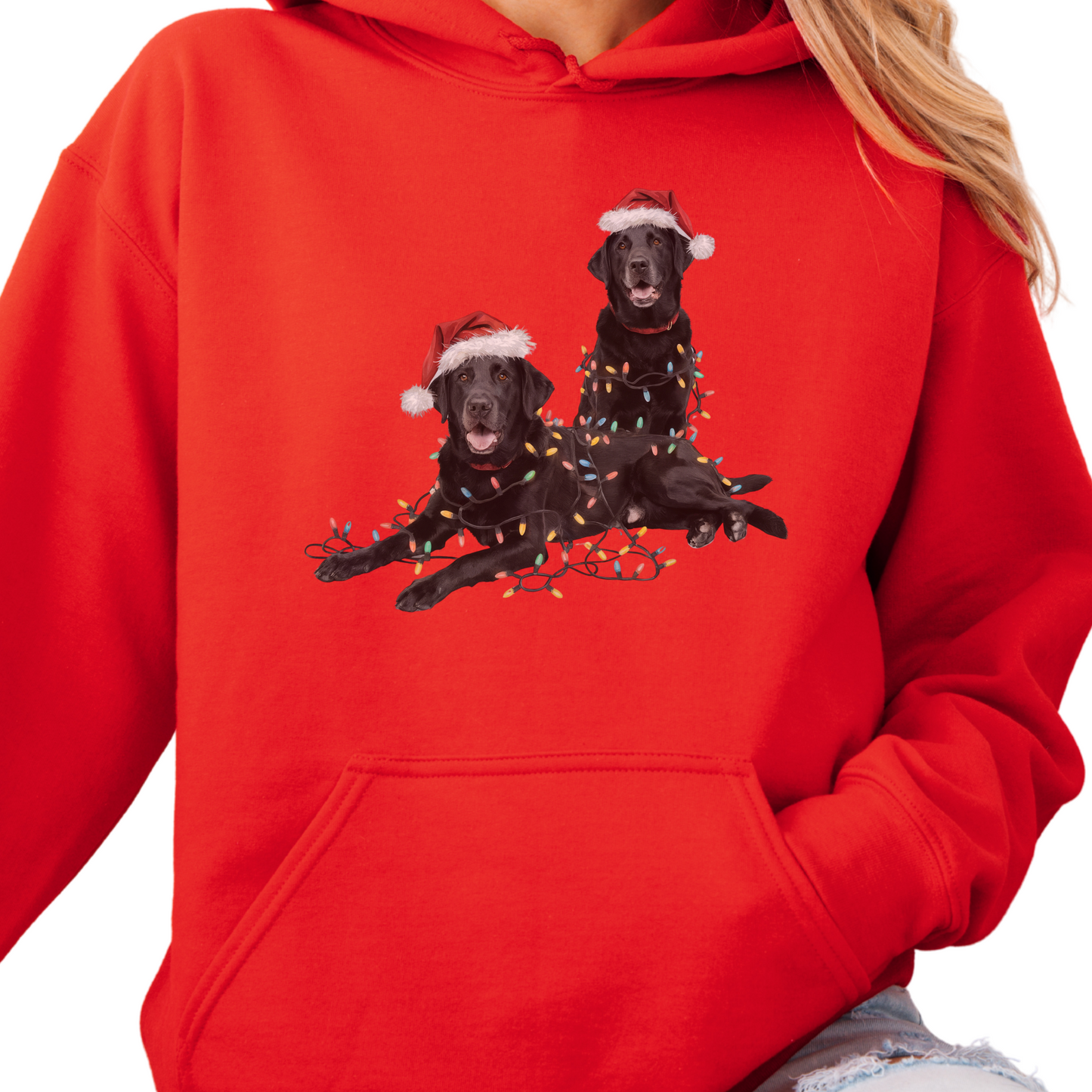 Black Lab Christmas Hoodie with Lights, Holiday Dog Lover Sweatshirt