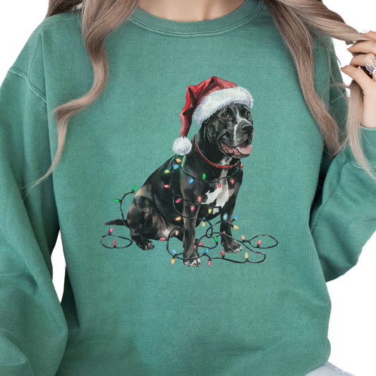 Cane Corso Christmas Lights Sweatshirt