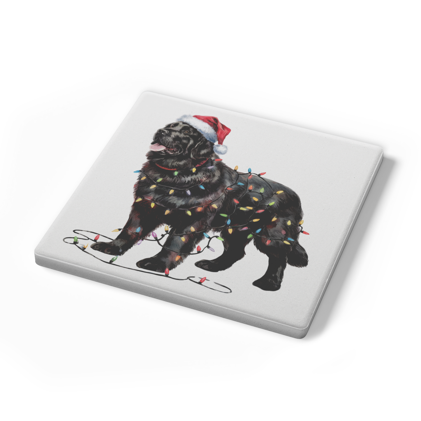 Black Newfoundland Christmas lights Dog Coasters