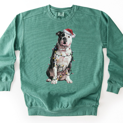 American Bulldog Christmas Lights Sweatshirt, Festive Dog Lover Gift