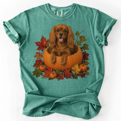 Ruby Cavalier King Charles in Pumpkin Fall Shirt, Cute Autumn Dog Tee for Spaniel Lovers