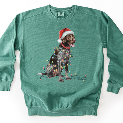 German Shorthaired Pointer Christmas Lights Sweatshirt