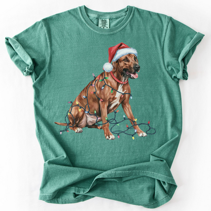 Rhodesian Ridgeback Christmas Lights Shirt, Festive Holiday Tee for Ridgeback Fans