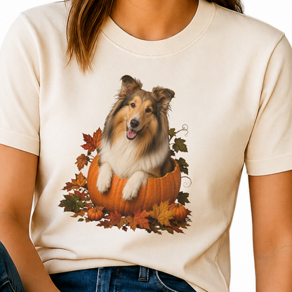 Collie Pumpkin Shirt