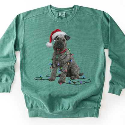 Kerry Blue Terrier Christmas Lights Sweatshirt