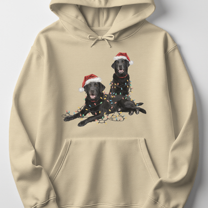 Black Lab Christmas Hoodie with Lights, Holiday Dog Lover Sweatshirt