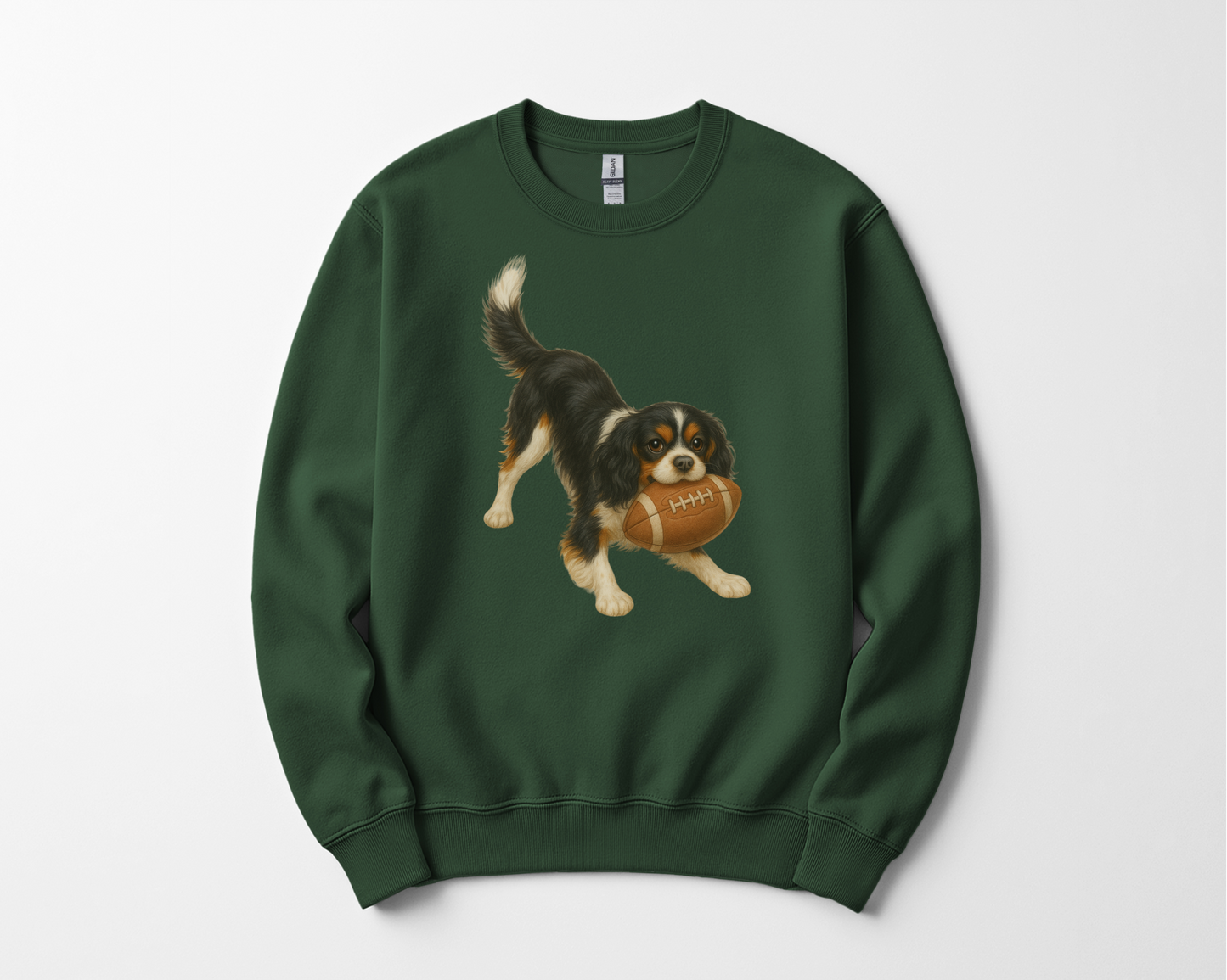 Tri-Color Cavalier King Charles Spaniel Football Sweatshirt