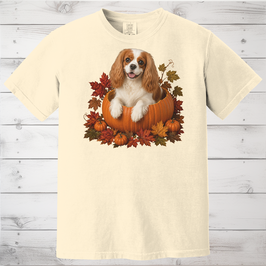 Blenheim Cavalier Pumpkin Shirt