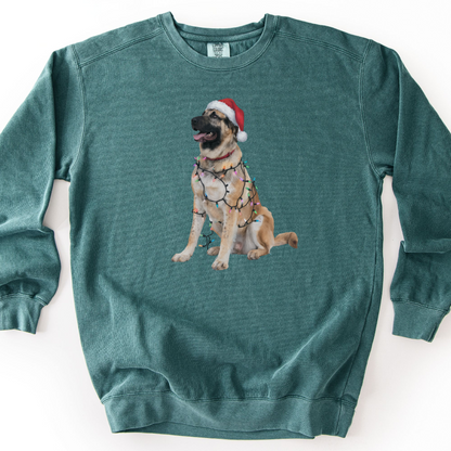 Anatolian Shepherd Christmas Lights Sweatshirt, Holiday Dog Lover Gift